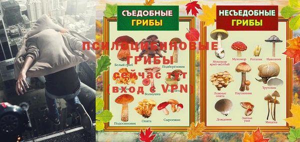 крисы Арсеньев